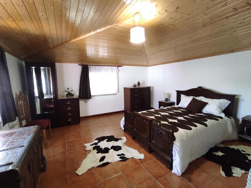 Casa Do Canastro Vouzela Εξωτερικό φωτογραφία